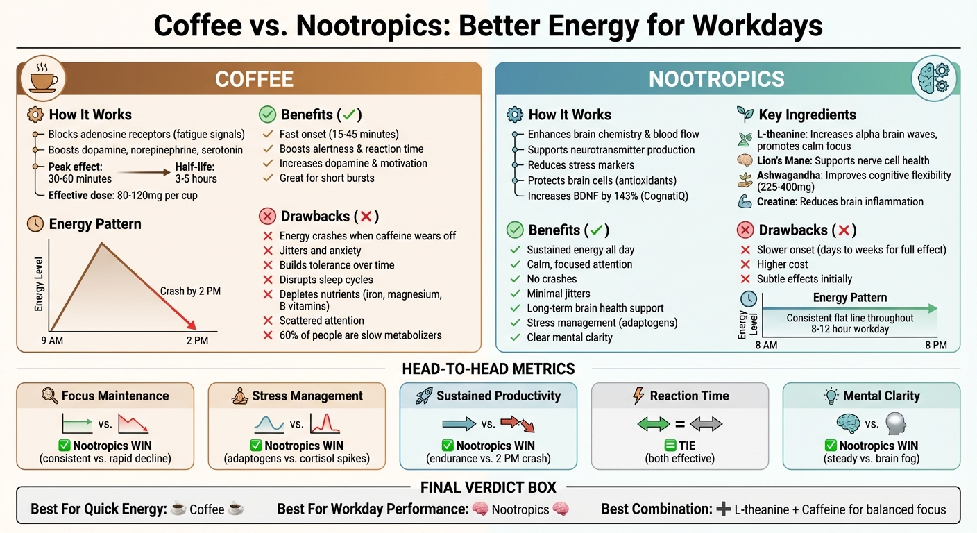 Coffee vs Nootropics: Complete Workday Performance Comparison