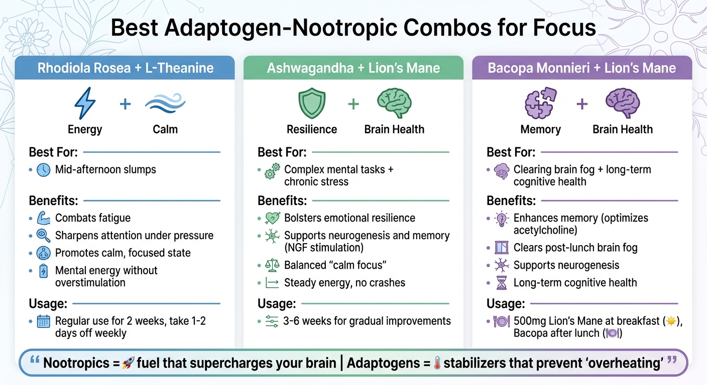 Top Adaptogen-Nootropic Combinations for Focus and Stress Relief