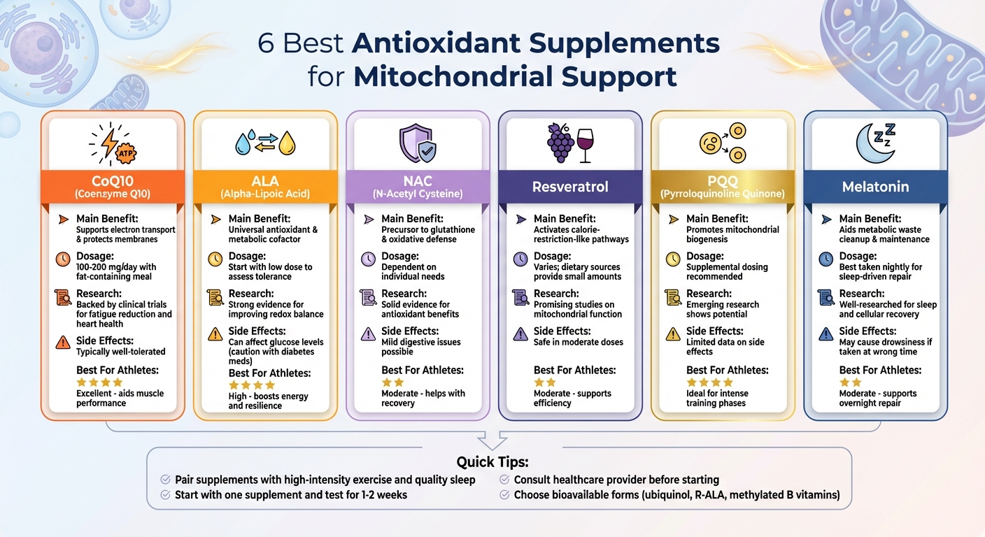 6 Best Antioxidant Supplements for Mitochondrial Support Comparison Chart