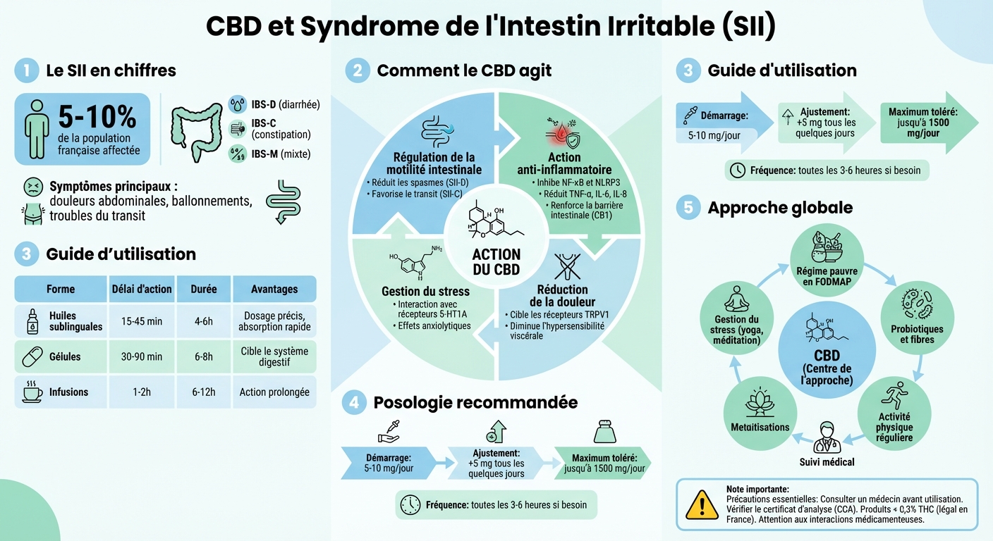 Comment le CBD agit sur le syndrome de l'intestin irritable : mécanismes et utilisation