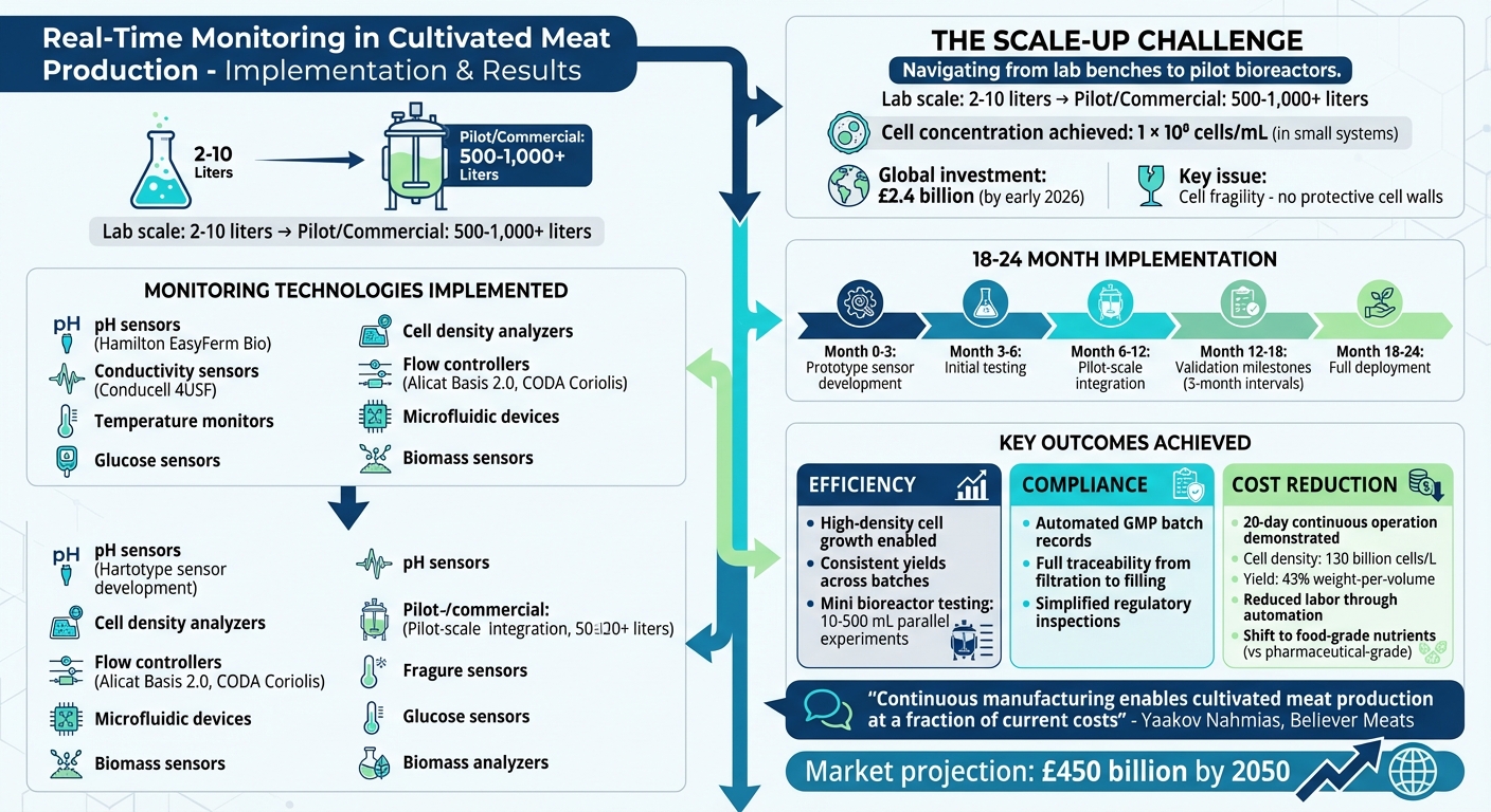 Real-Time Monitoring Implementation Timeline and Key Results in Cultivated Meat Production