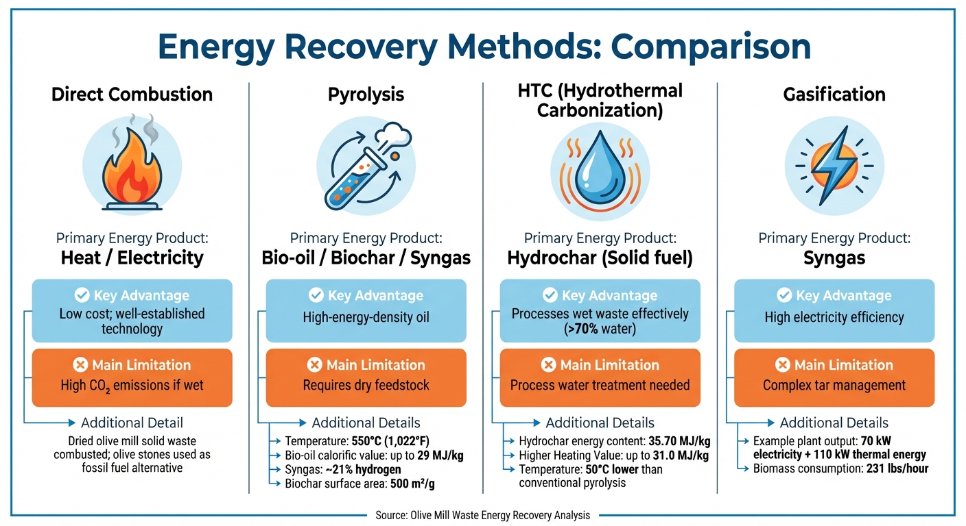 Comparison of Energy Recovery Methods for Olive Mill Waste