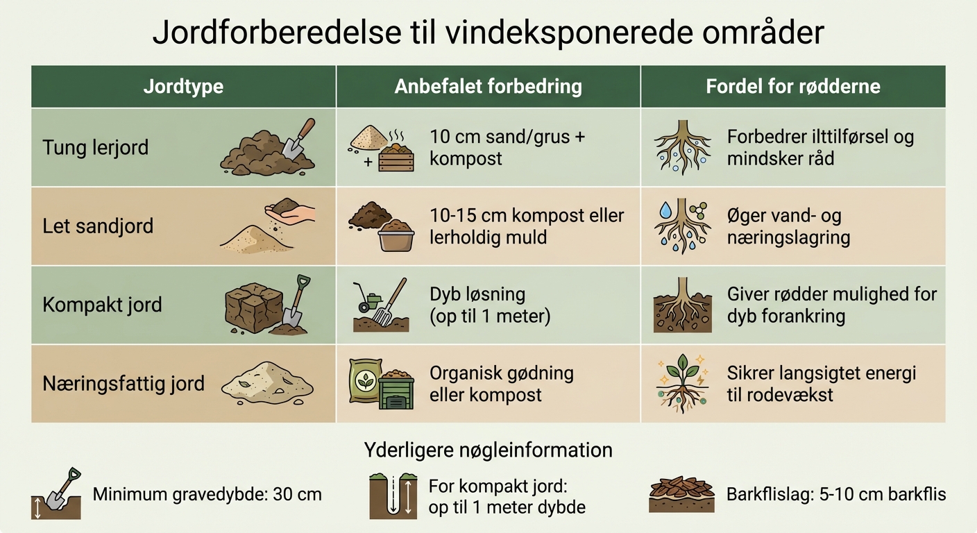Jordforberedelse til bøgehæk i vindeksponerede områder