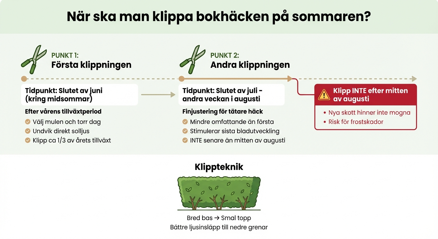 Optimal klipptider för bokhäck under sommaren