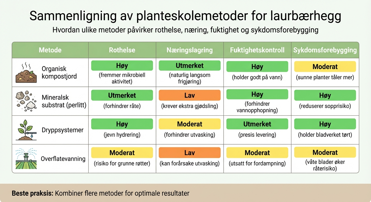 Sammenligning av planteskolemetoder for laurbærhegg: jord, vanning og sykdomsforebygging