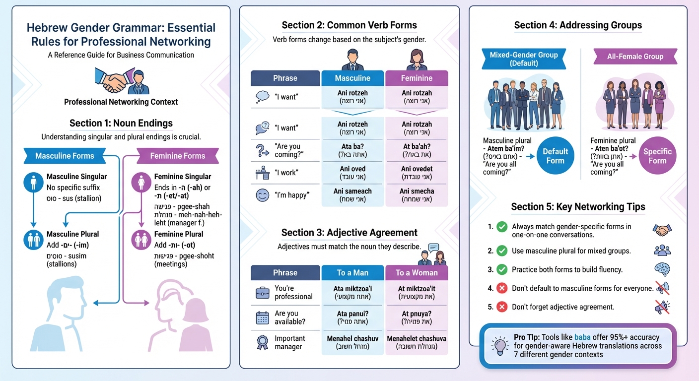 Hebrew Gender Grammar Quick Reference Guide for Professional Networking