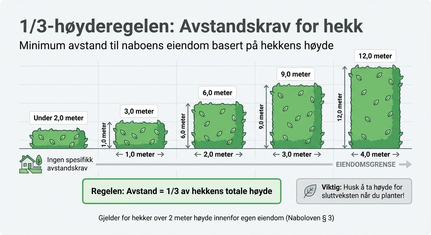 Avstandskrav for hekk basert på høyde - Naboloven oversikt