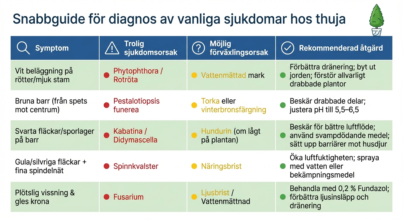 Snabbguide för diagnos av vanliga sjukdomar hos thuja
