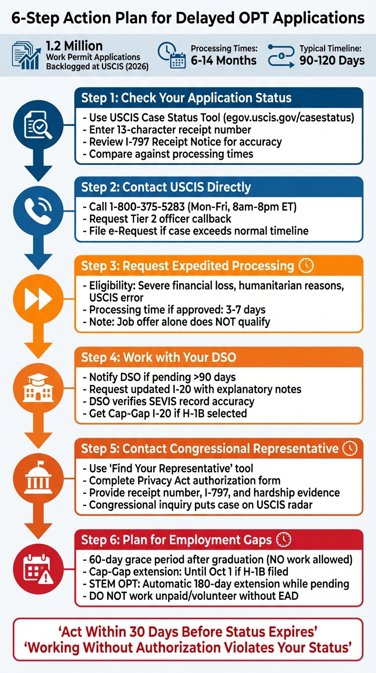 6-Step Action Plan for Delayed OPT Applications