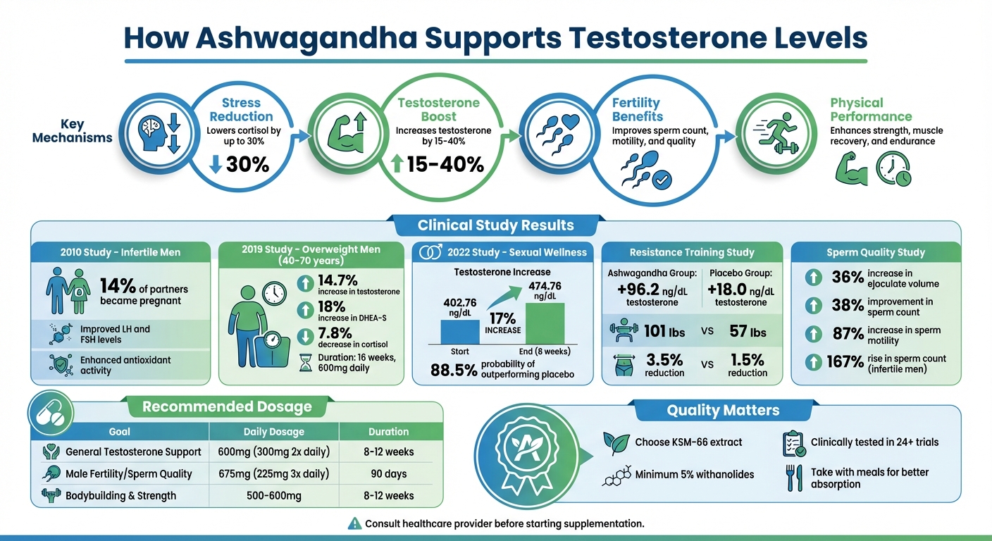 Ashwagandha Effects on Testosterone: Clinical Study Results and Benefits
