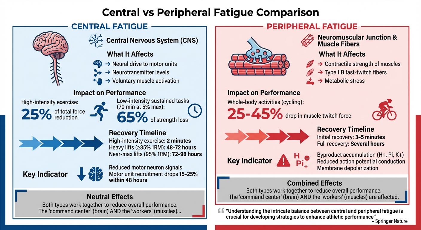 Central vs Peripheral Fatigue: Types, Effects, and Recovery Times