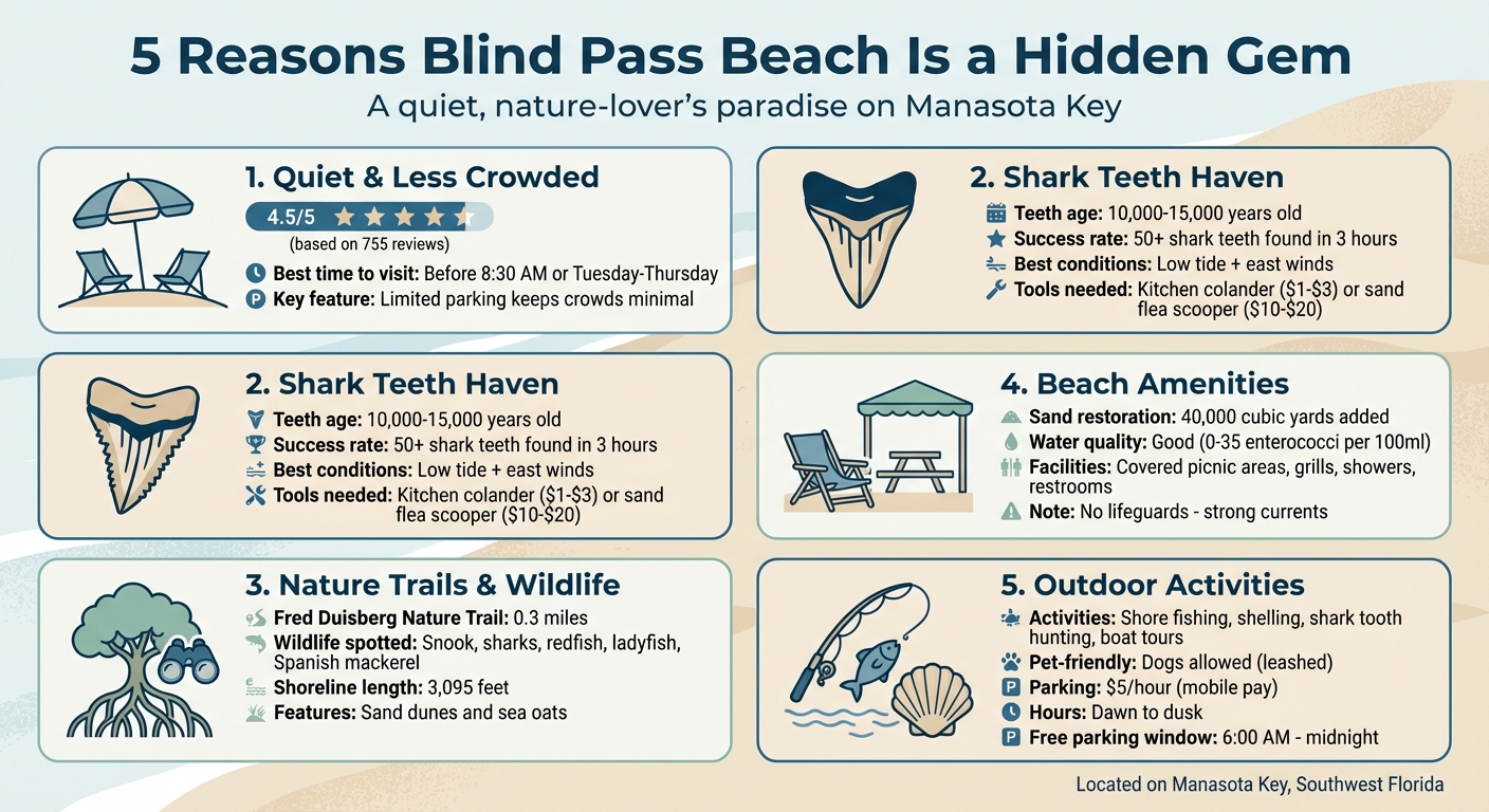 5 Reasons to Visit Blind Pass Beach on Manasota Key Florida
