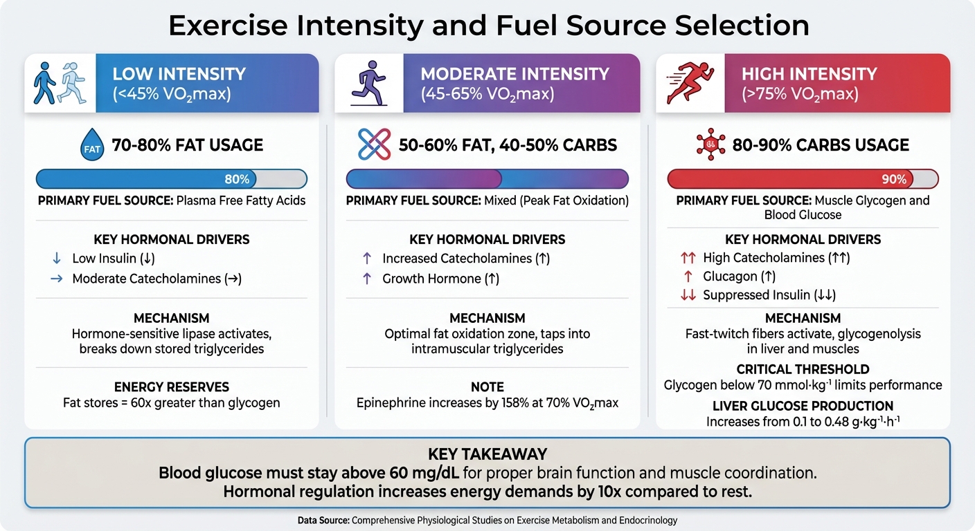 Exercise Intensity and Fuel Source Selection: How Your Body Chooses Energy