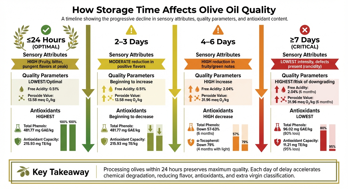 Chemical Degradation of Olive Oil During Storage: Key Quality Metrics Over Time