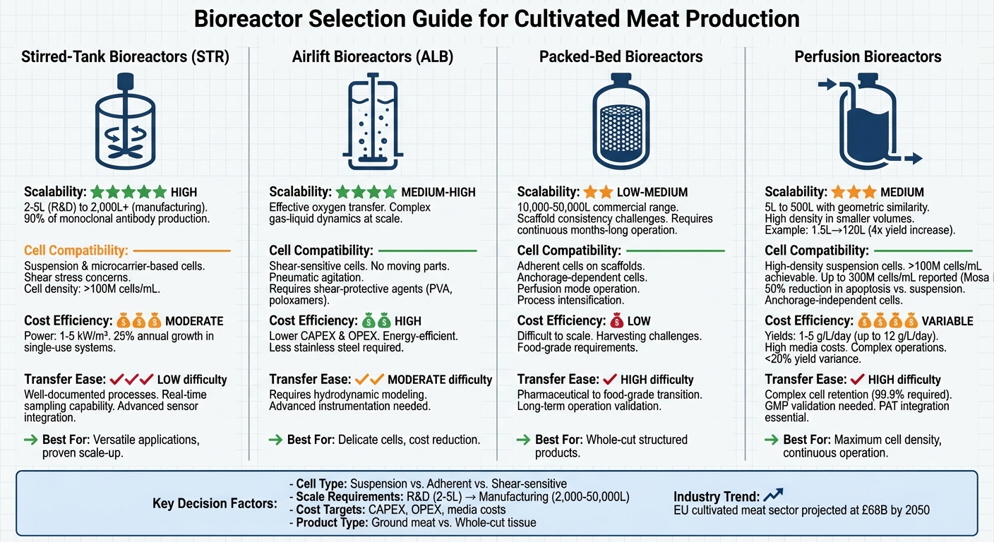 Bioreactor Types Comparison for Cultivated Meat Production