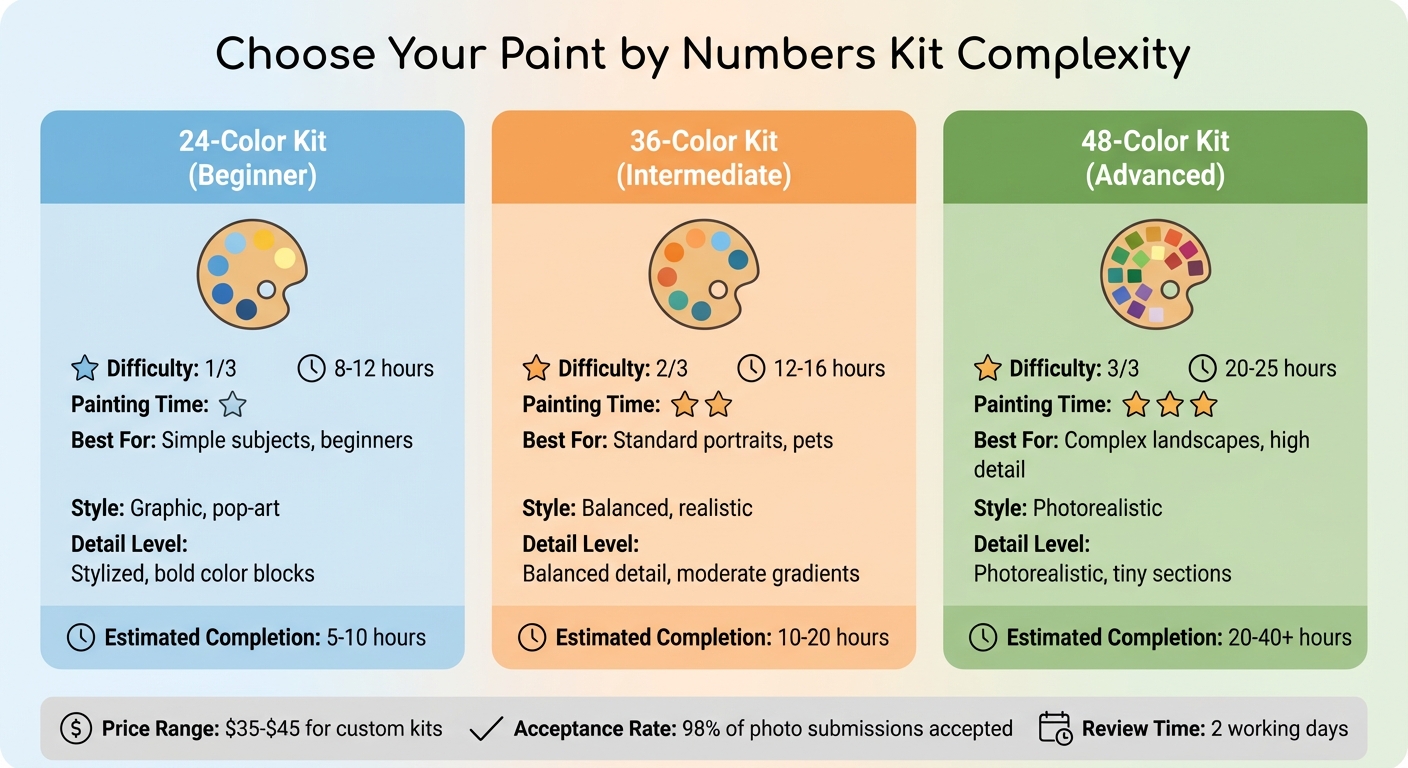 Paint by Numbers Kit Color Options Comparison Guide