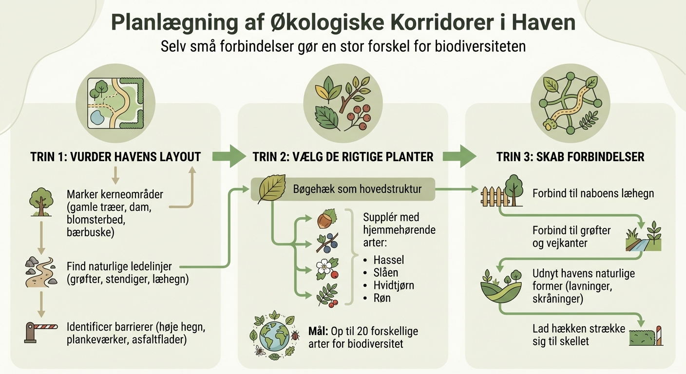 Sådan skaber du økologiske korridorer i din have - trin for trin guide