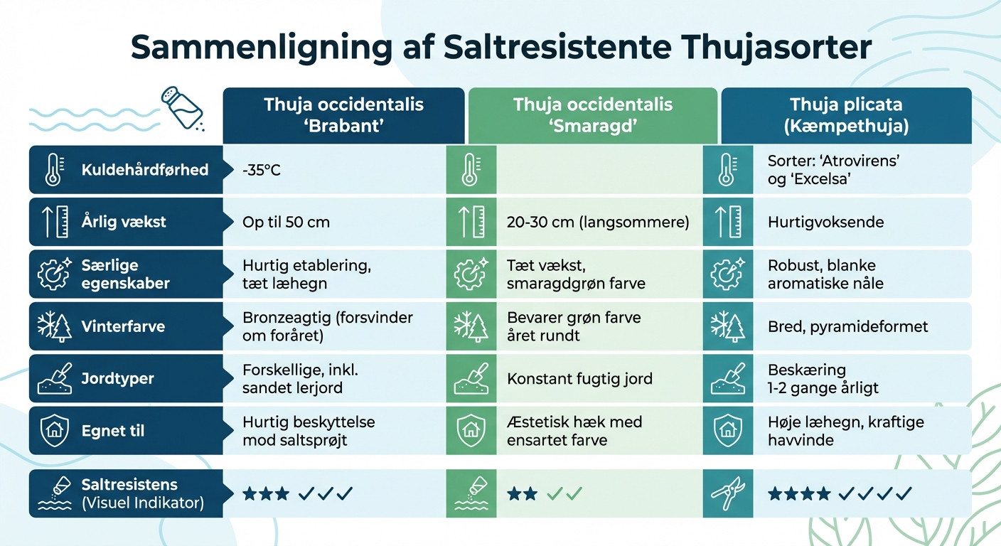Sammenligning af saltresistente thujasorter til kysthaver