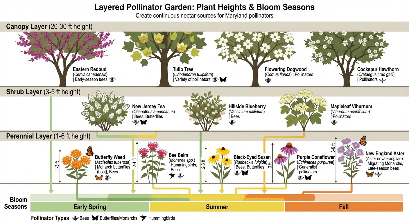 Maryland Native Plants for Pollinators: Bloom Times and Heights Guide