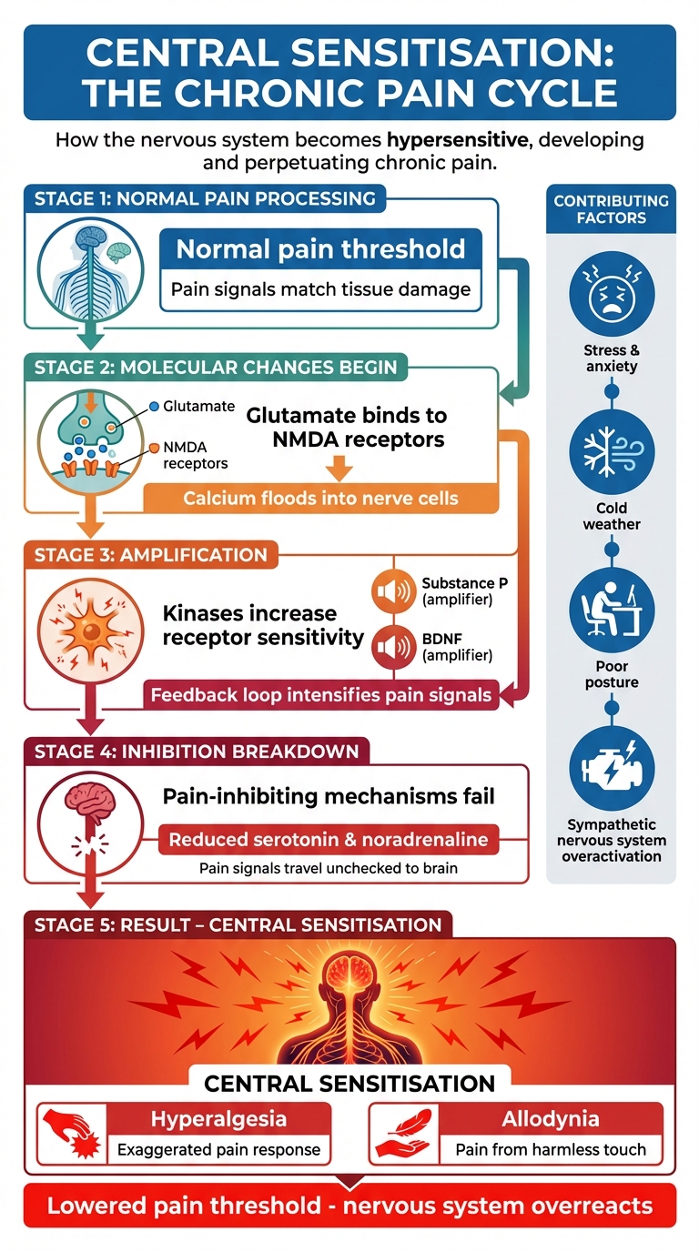 How Central Sensitisation Causes Chronic Pain in the Nervous System
