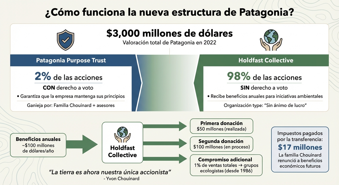 Estructura de propiedad de Patagonia: distribución de acciones y destino de beneficios