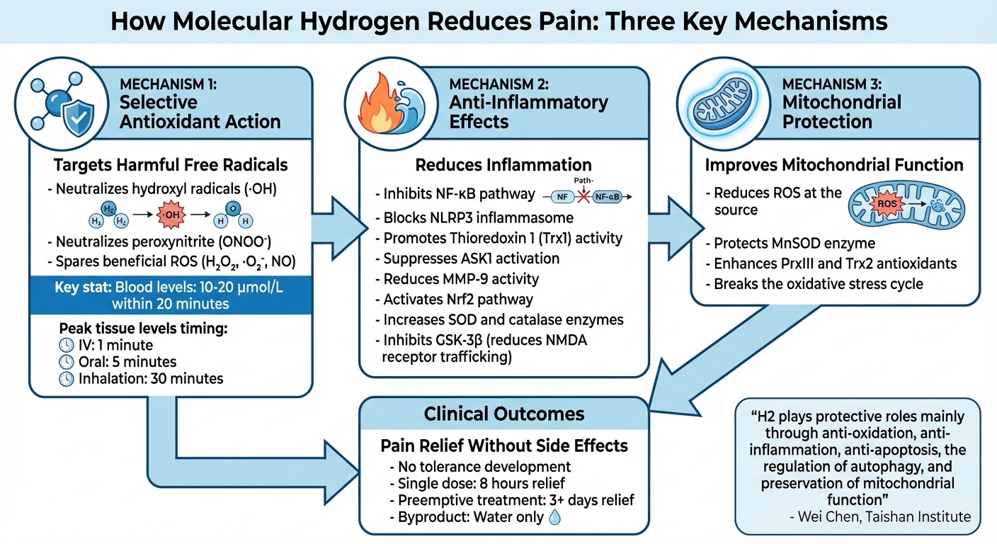 How Molecular Hydrogen Reduces Pain Through Three Key Mechanisms