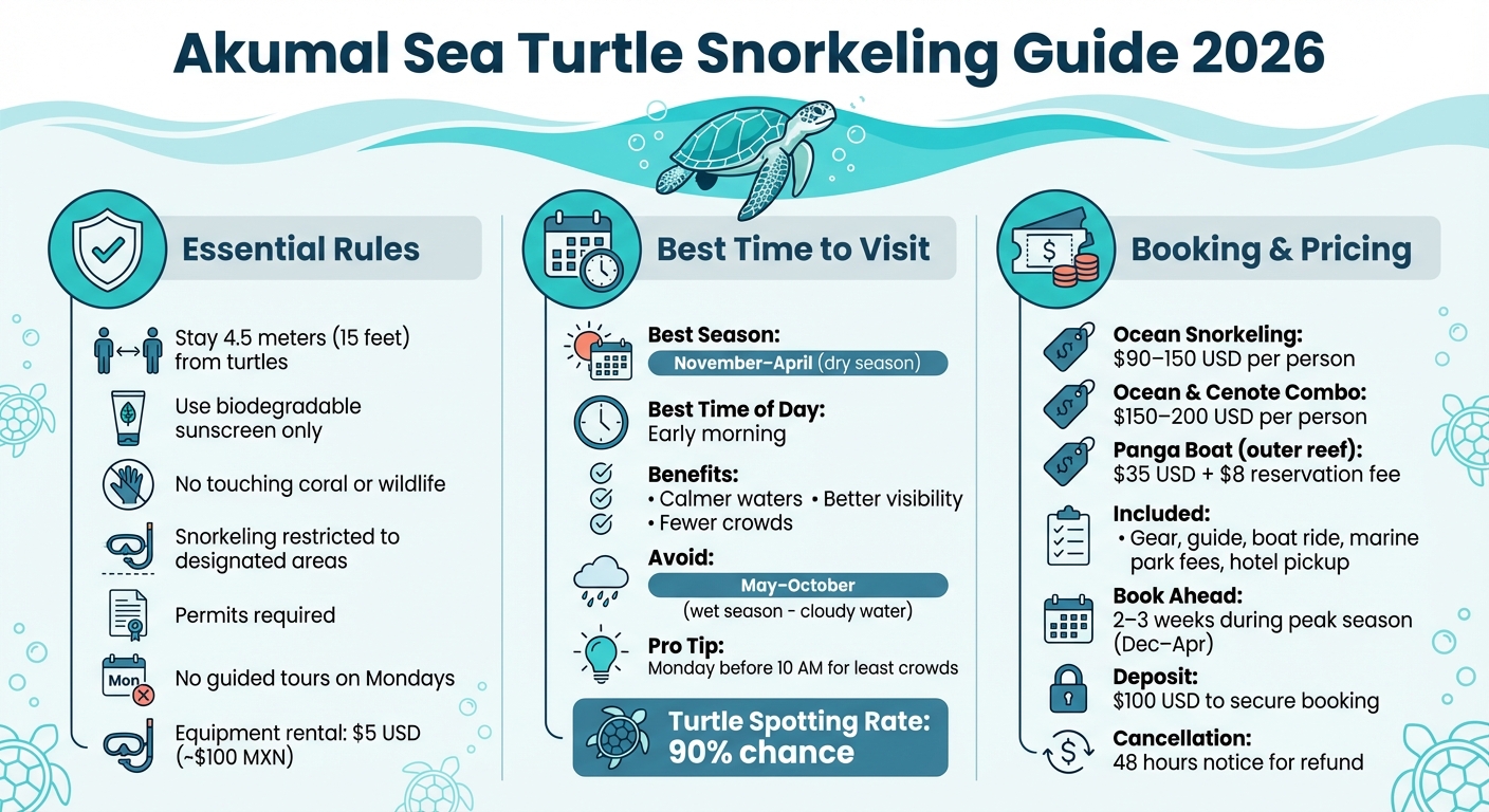 Akumal Snorkeling Quick Guide 2026: Rules, Timing & Costs