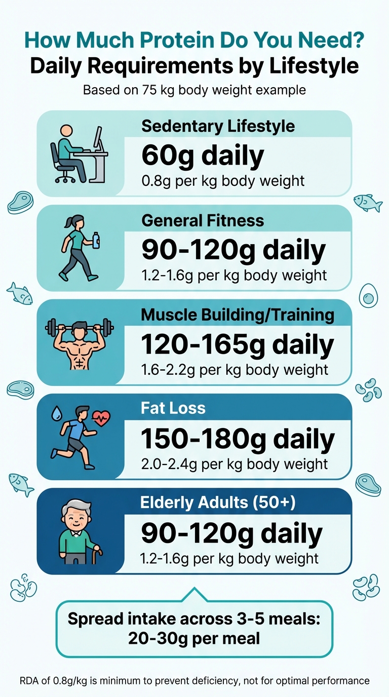 Daily Protein Requirements by Lifestyle and Activity Level