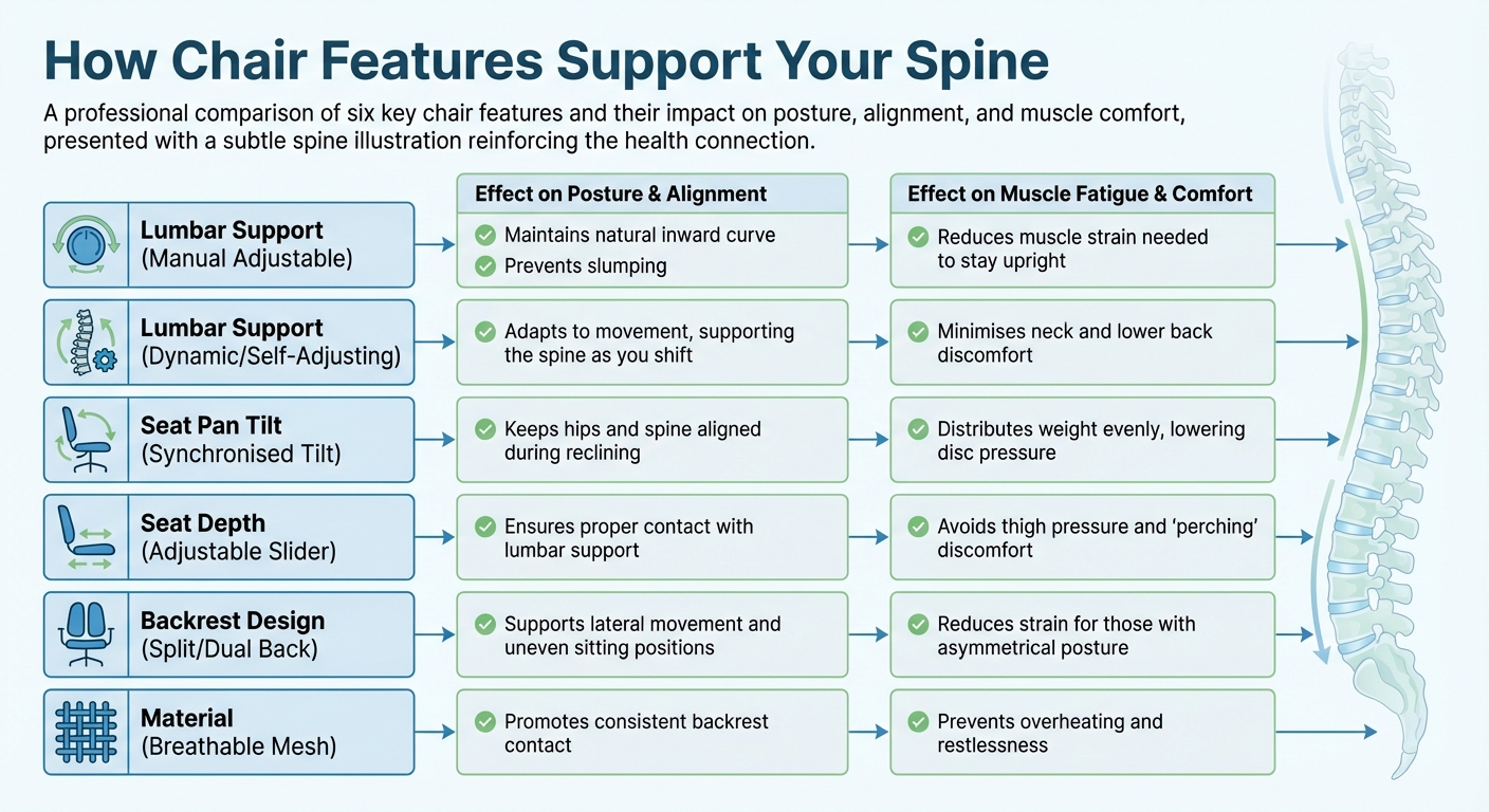 Ergonomic Chair Features and Their Impact on Spinal Health