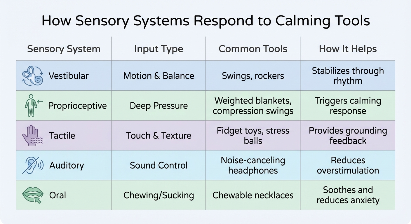 How Different Sensory Systems Respond to Calming Tools