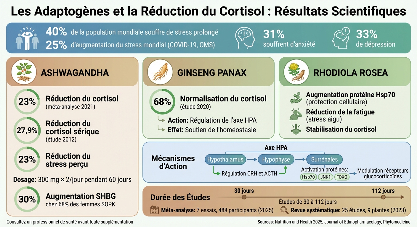 Effets des adaptogènes sur le cortisol : statistiques et résultats d'études cliniques