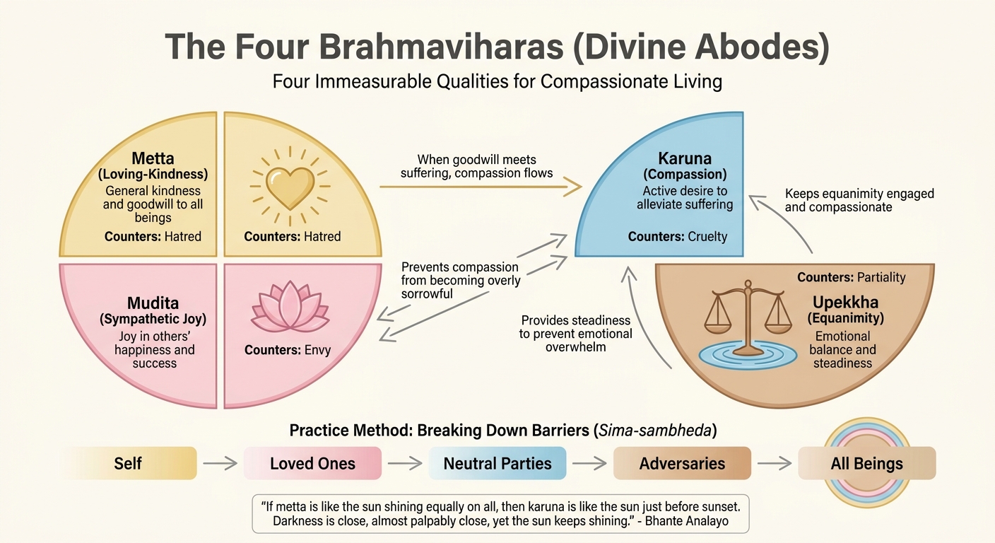 The Four Brahmaviharas: Buddhist Divine Qualities and Their Relationships