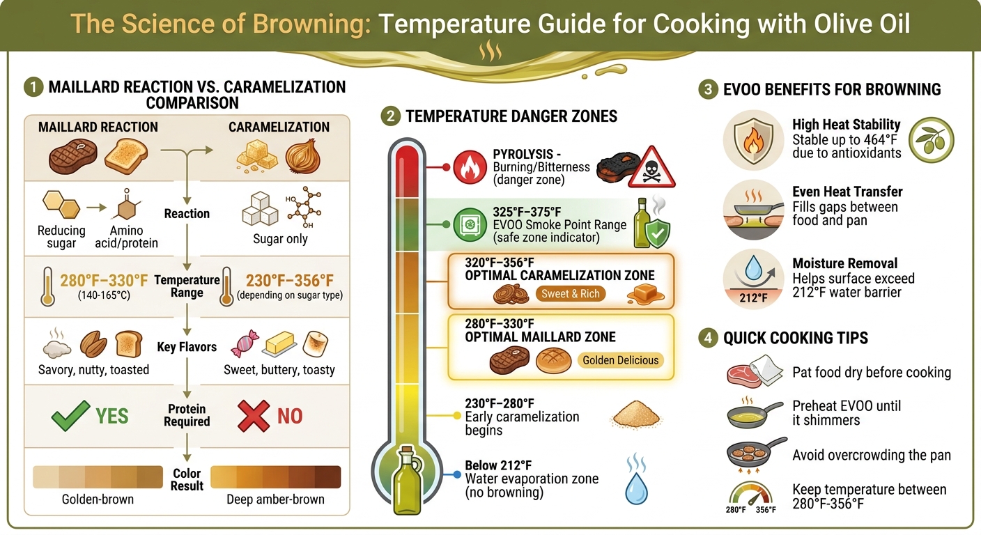 Maillard Reaction vs Caramelization Temperature Guide for Cooking with Olive Oil