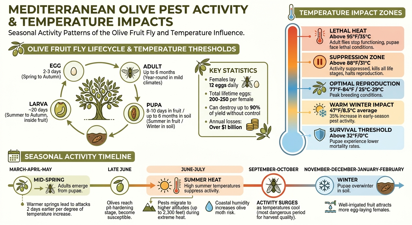 Mediterranean Olive Pest Seasonal Activity and Temperature Impact Chart