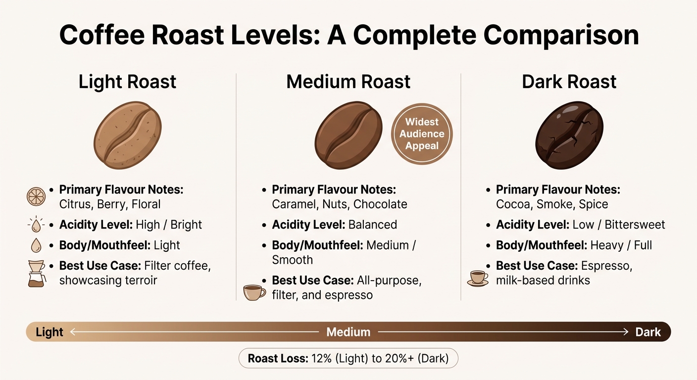 Coffee Roast Levels Comparison: Light, Medium, and Dark Roasts
