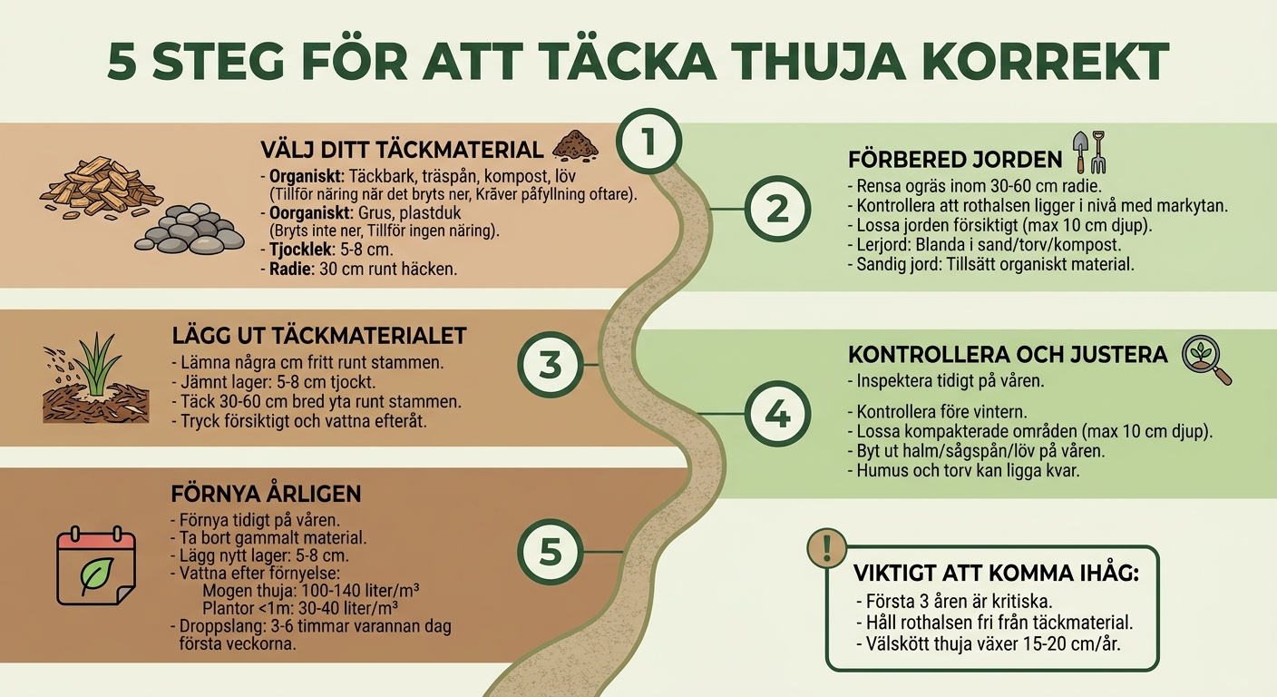 5 steg för att täcka thuja korrekt - guide
