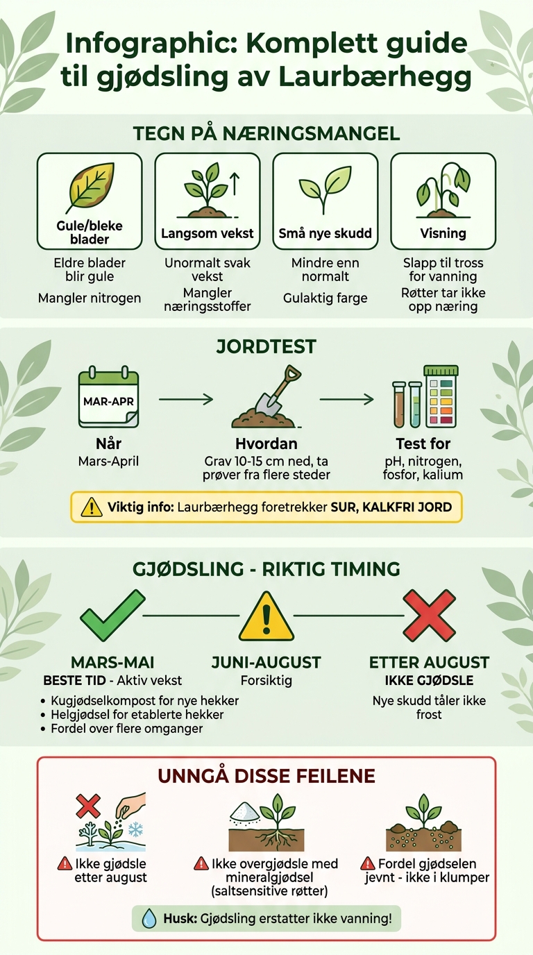 Gjødsling av laurbærhegg: Tegn, testing og riktig påføring