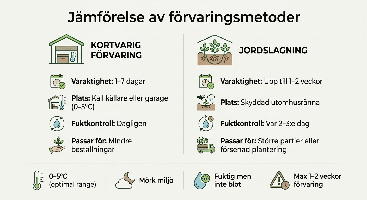 Jämförelse av förvaringsmetoder för barrotade häckplantor