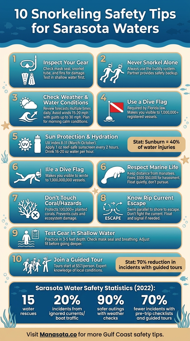 10 Essential Snorkeling Safety Tips for Sarasota Waters