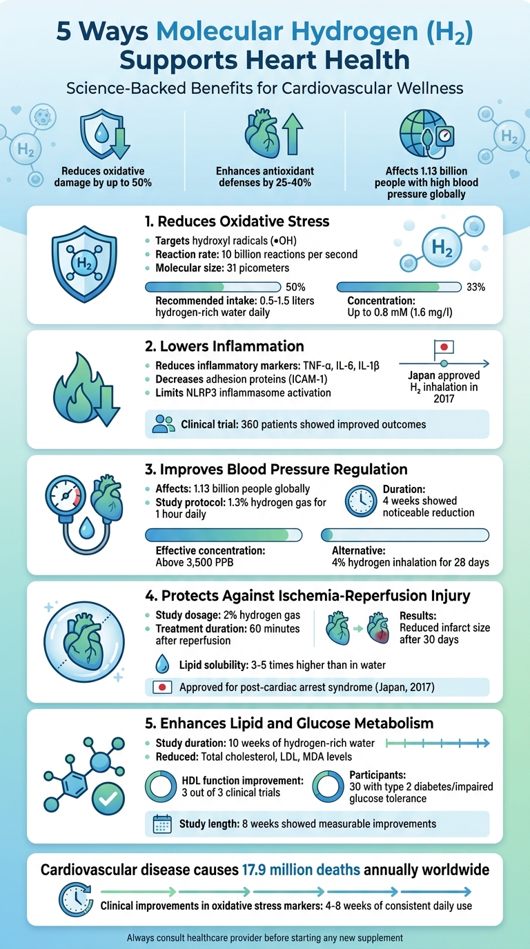 5 Ways Molecular Hydrogen Supports Heart Health: Key Benefits and Statistics