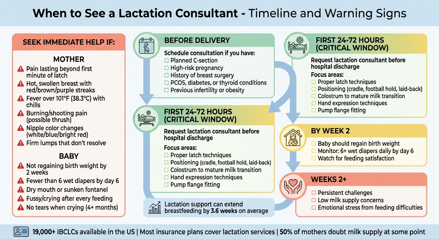 When to See a Lactation Consultant: Timeline and Warning Signs