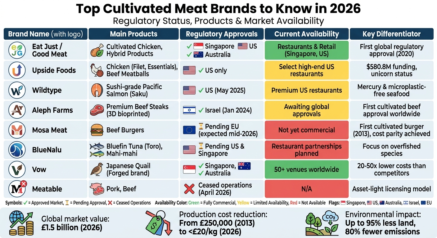 Top 8 Cultivated Meat Brands Comparison 2026: Products, Approvals & Availability