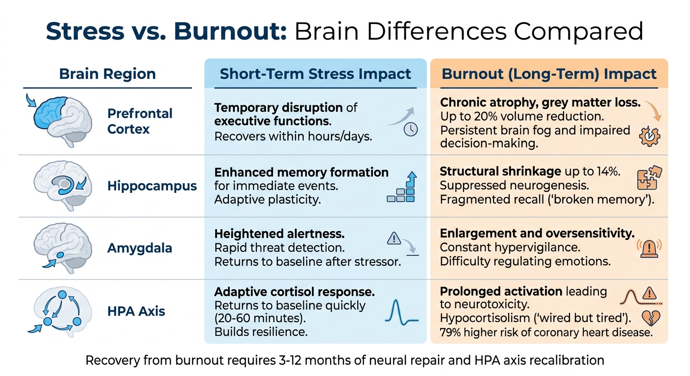 Stress vs Burnout Brain Effects Comparison Chart