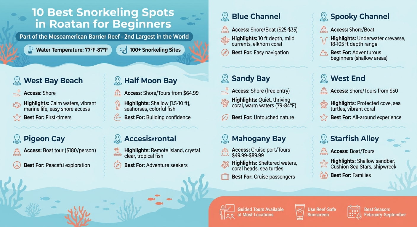 10 Best Beginner Snorkeling Spots in Roatan: Quick Comparison Guide