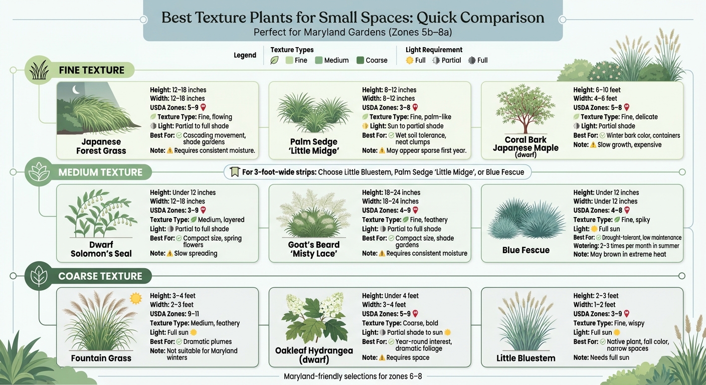 Texture Plants for Small Spaces: Quick Comparison Guide