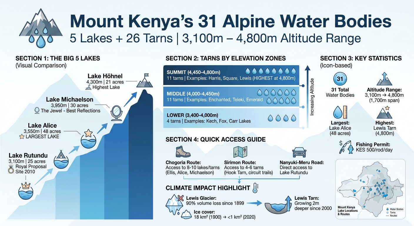 Mount Kenya's 31 Lakes and Tarns: Altitude, Size, and Access Guide