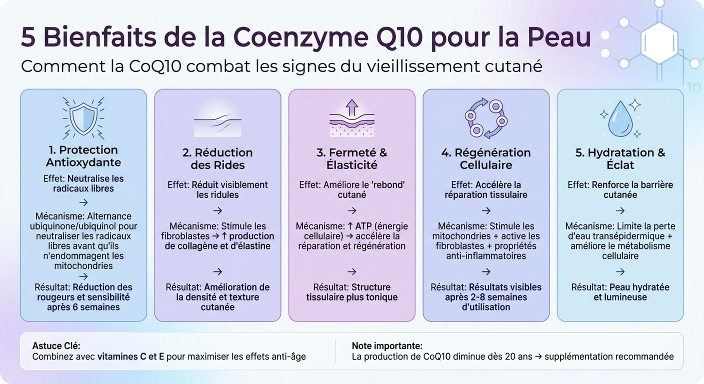 Les 5 bienfaits de la CoQ10 pour la peau : mécanismes d'action anti-âge