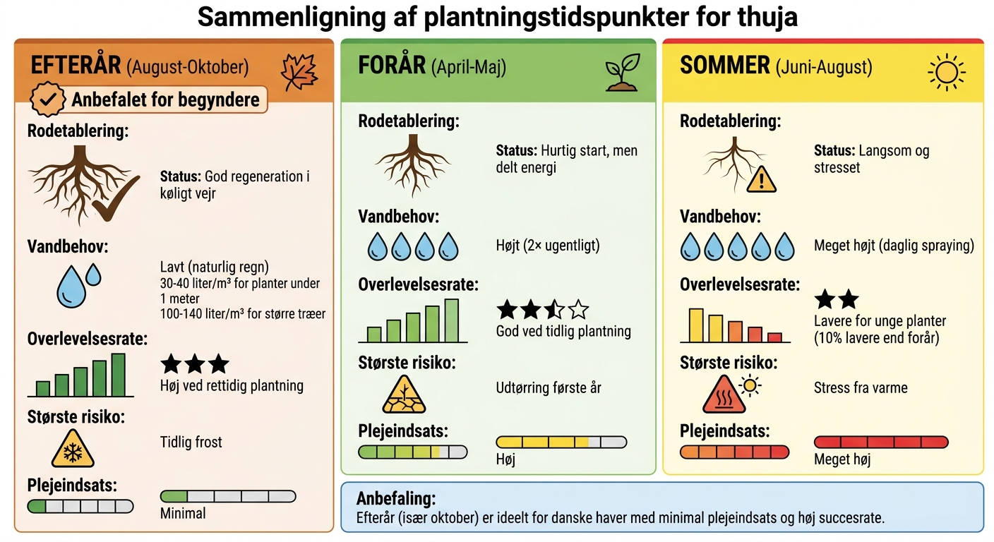 Sammenligning af efterårs-, forårs- og sommerplantning af thuja