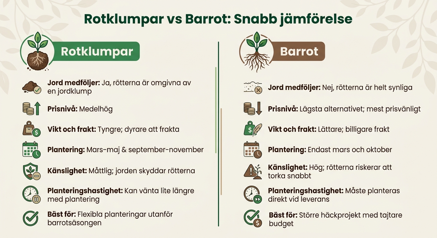 Rotklumpar vs barrot jämförelse för lagerhägg