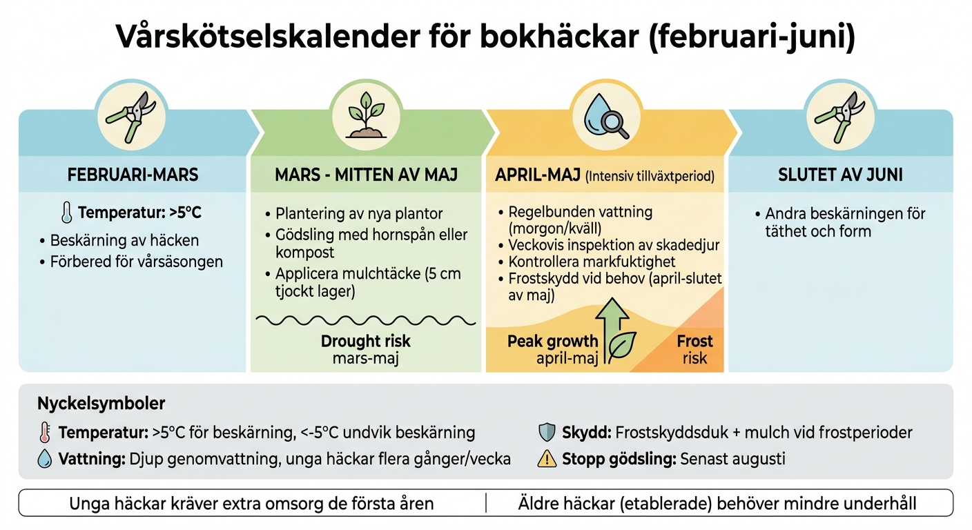 Vårskötselsguide för bokhäckar: Månatlig aktivitetskalender februari-juni